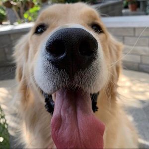 Meet your Posher, Marie